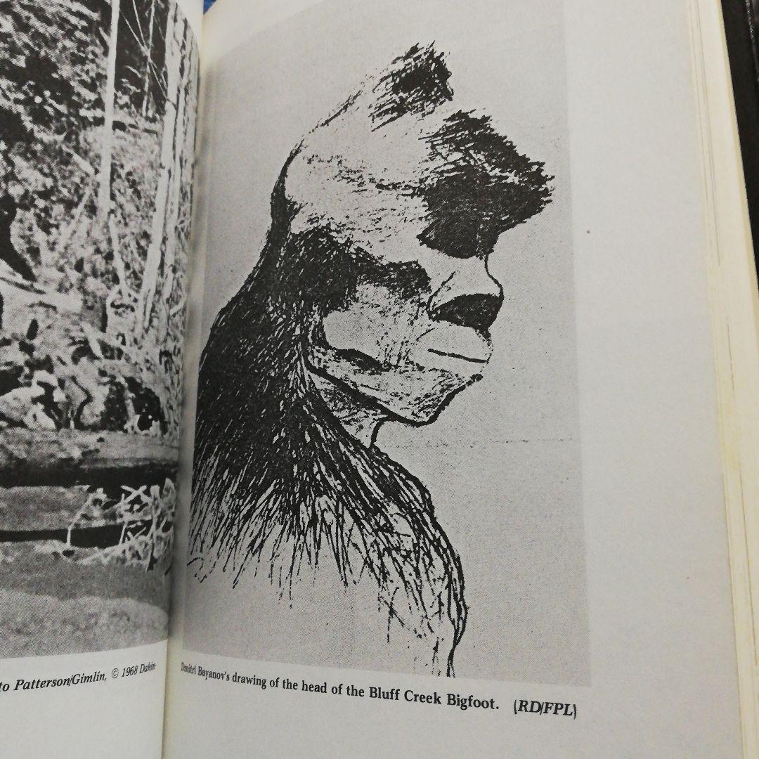 洋書 The Bigfoot Casebook by Bord