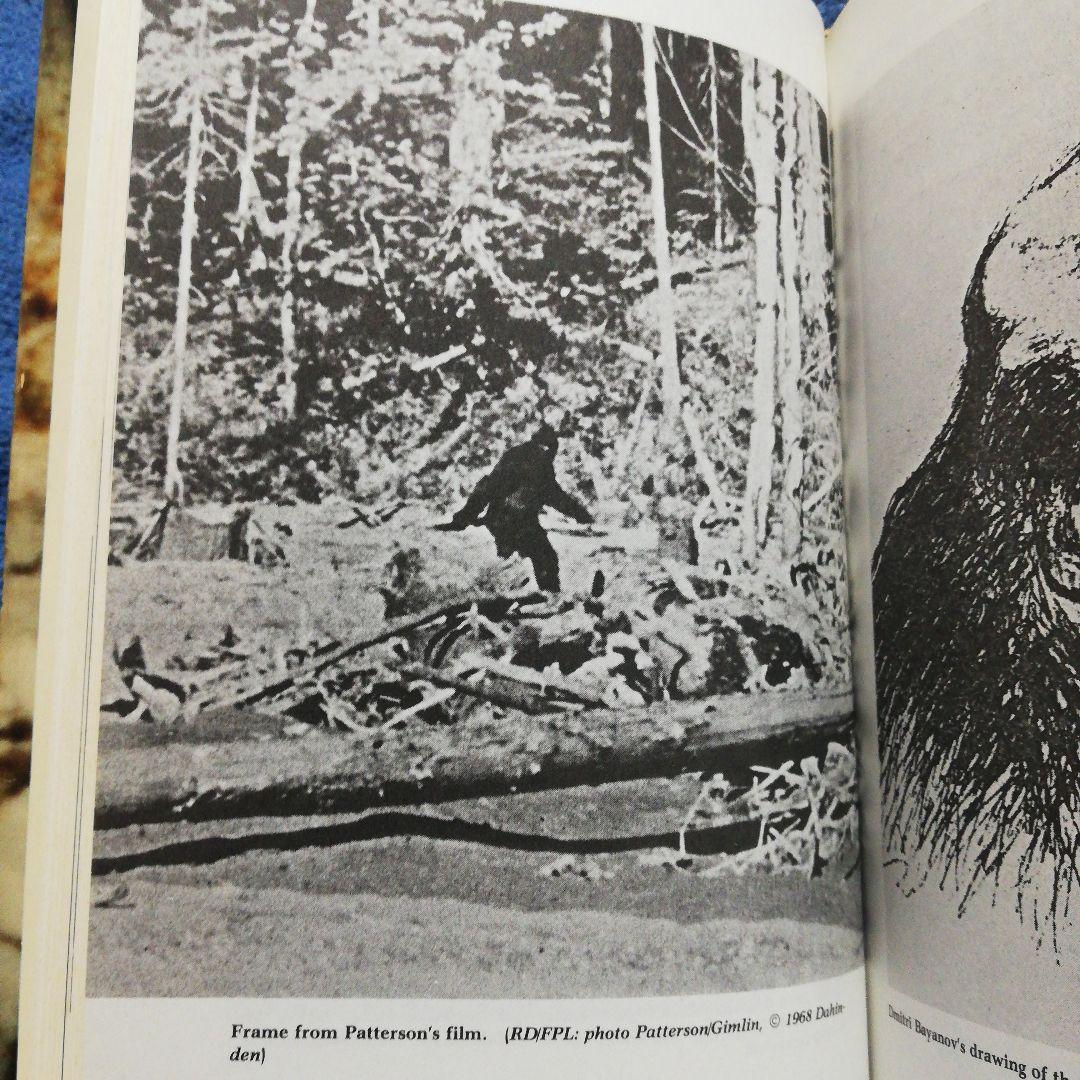 洋書 The Bigfoot Casebook by Bord