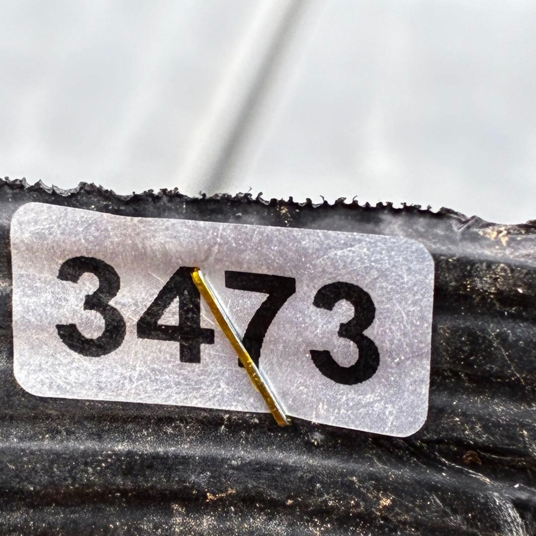 t*k様 3473☘️花付き☘️希少☘️極上☘️親株☘️⭐️黒⭐️多弁⭐️整形花