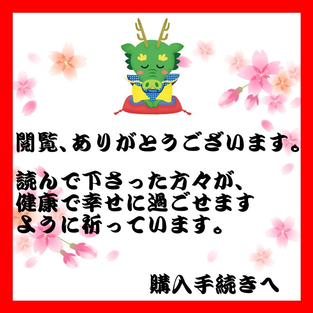 【フォロワー限定300円企画】遊戯王 OCG カード 2枚セット 青眼の白龍