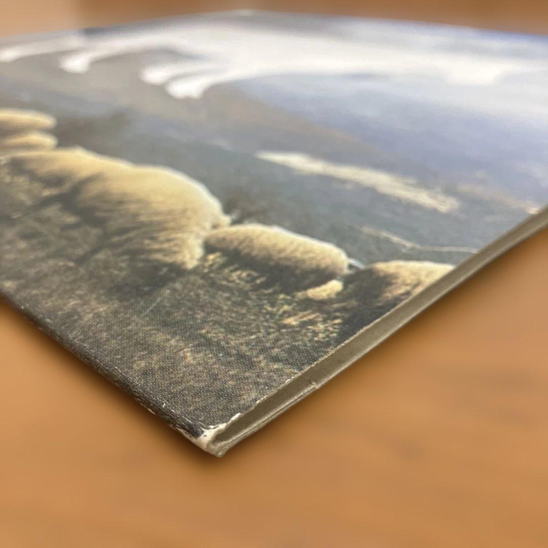 ⑮-38 Echo&the Bunnymen ARROGANCE 2LP 希少盤