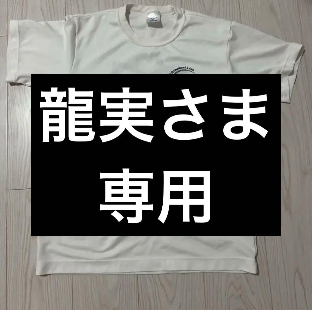 龍実　日体大 バレーボール部　練習着　チームＴシャツ　白　Ｌ