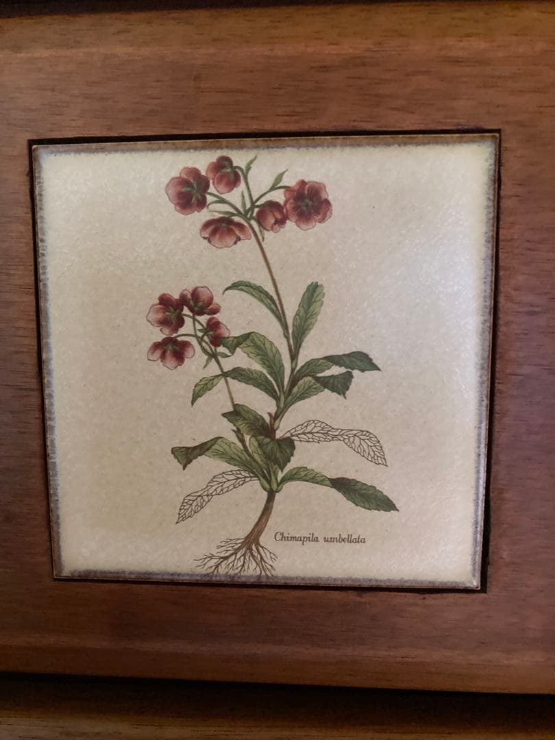 木製チェスト 7段 タンス　箪笥　ハイチェスト