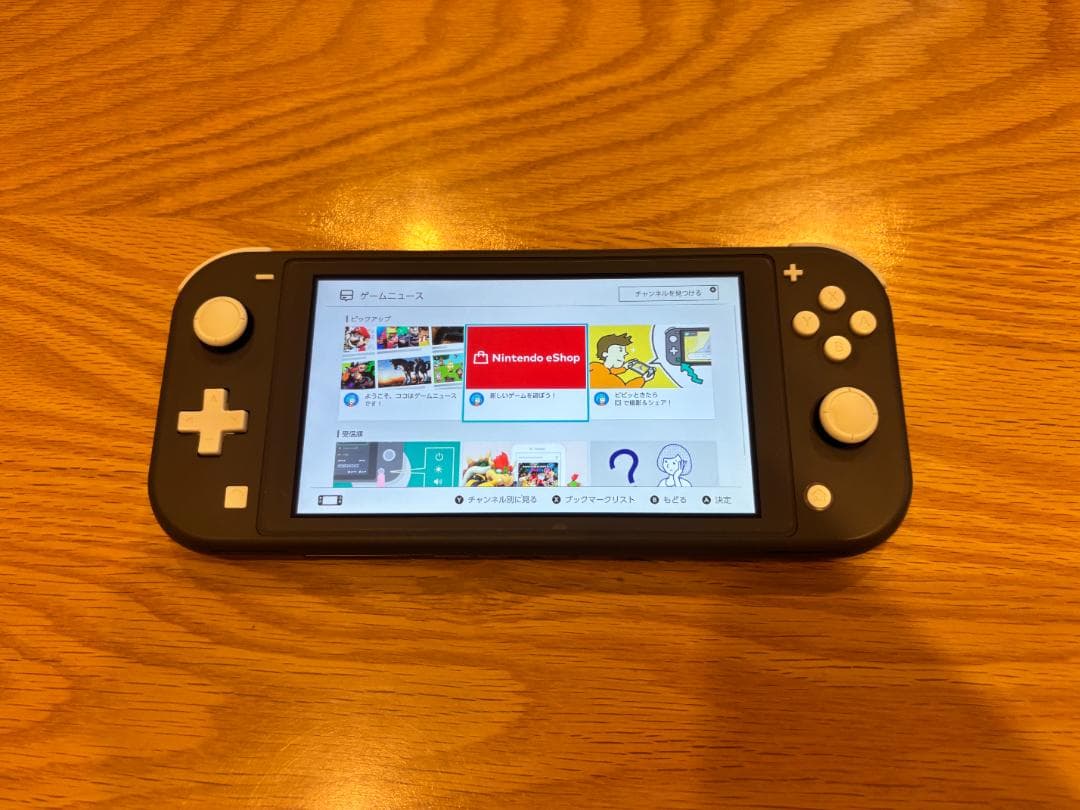 Switch Lite グレー 本体＋ケースセット 美品