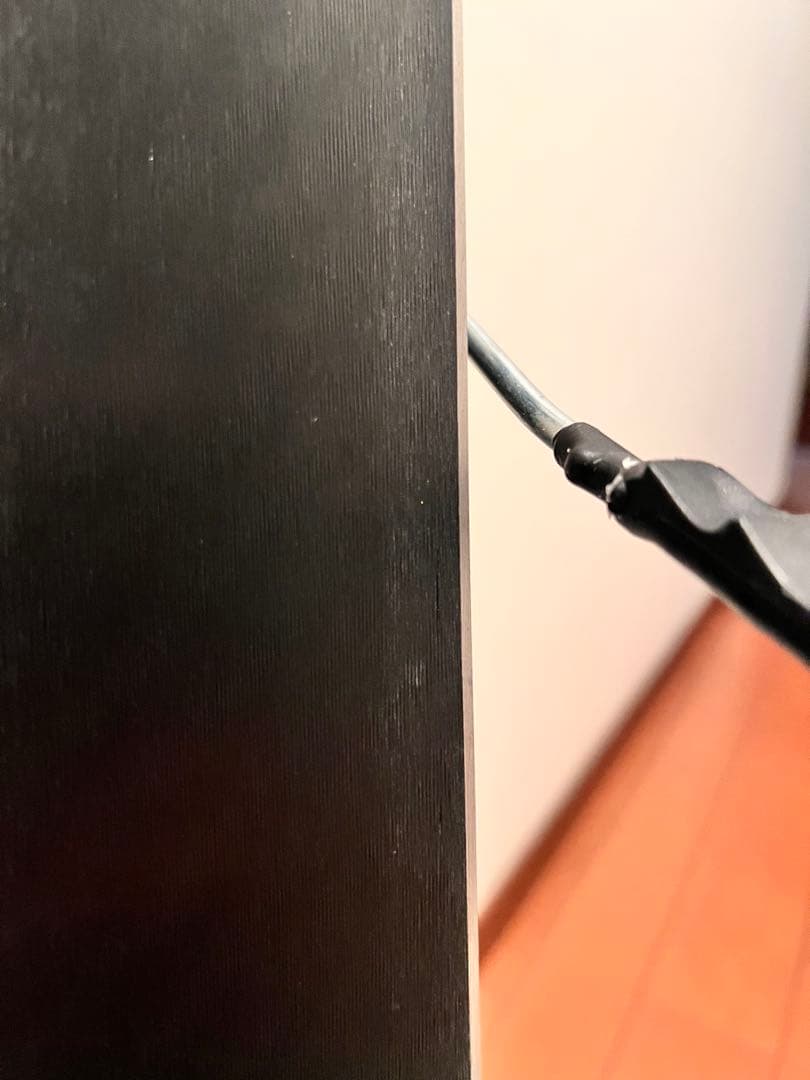 Völkl スキー板 2025 RACETIGER SL WC D 155cm