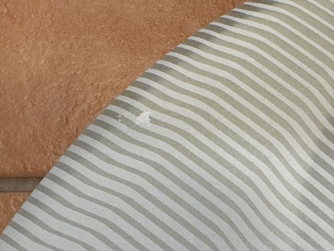 FCS2 フィン　5枚セット