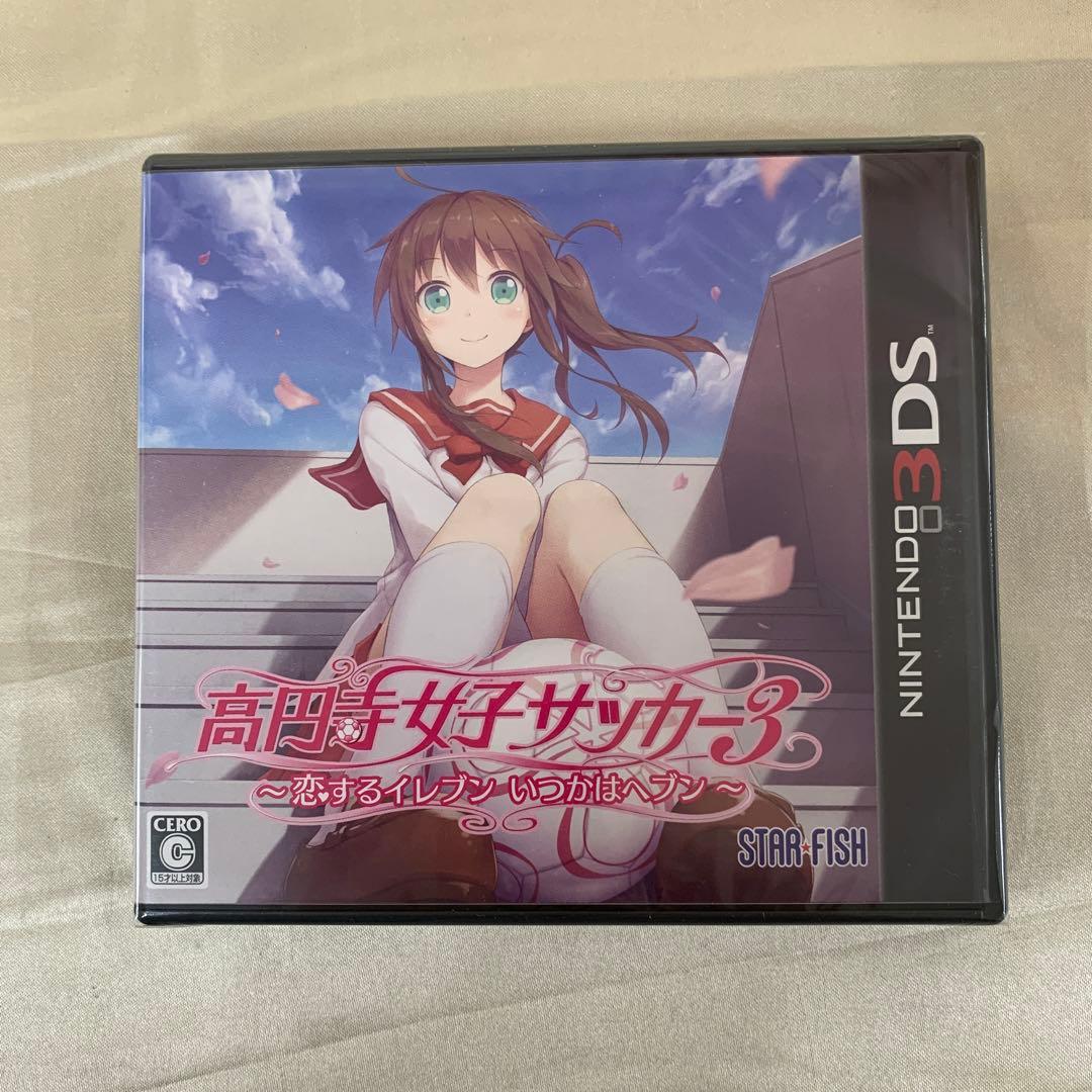 高円寺女子サッカー3 ～恋するイレブン いつかはヘブン～3DSソフト