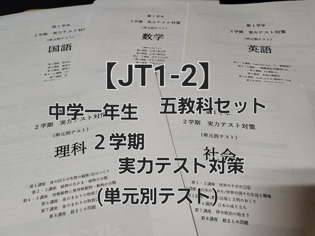 【meso3さま専用】