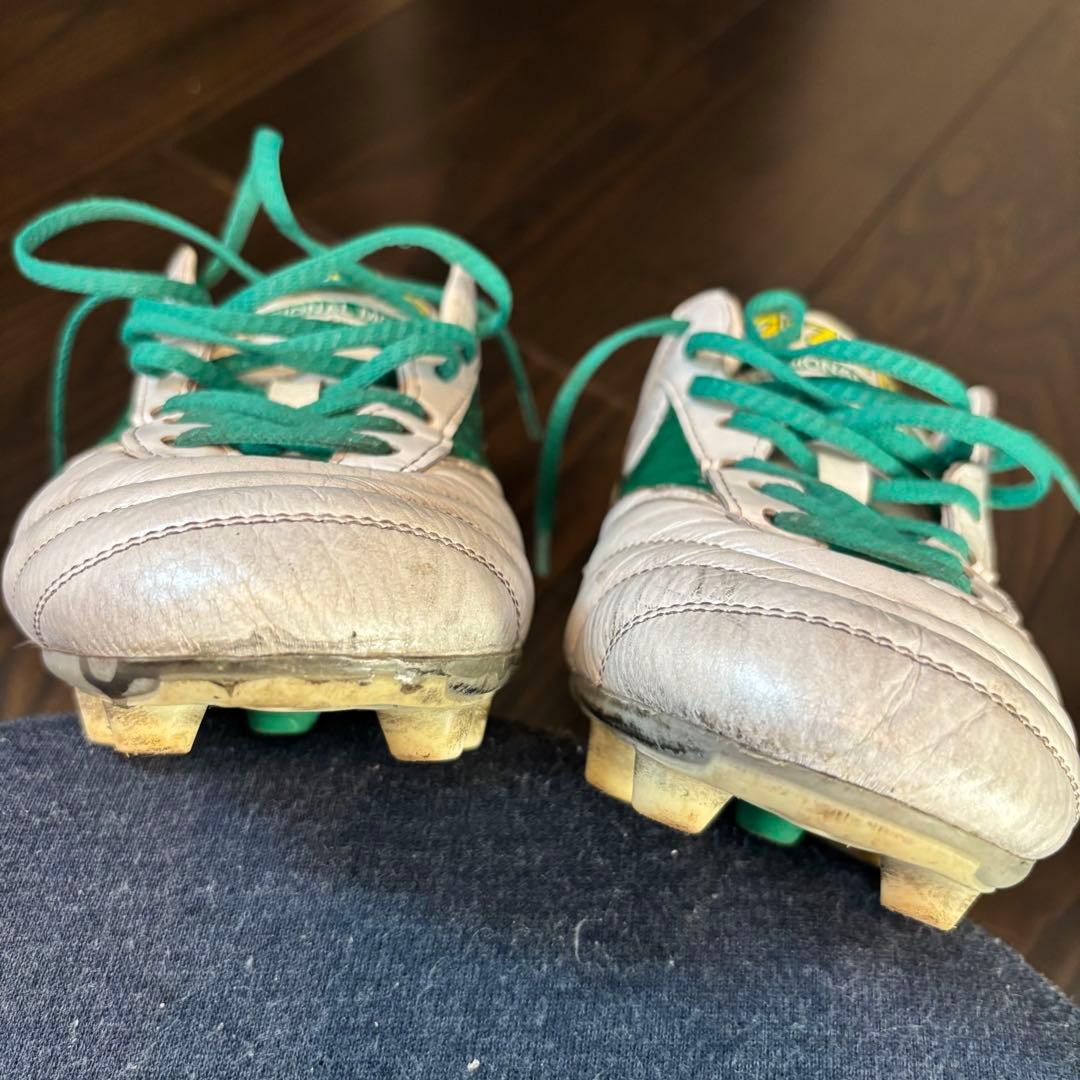 【しゅうと】モレリア JAPAN ブラジルカラー 28cm ゼログライド