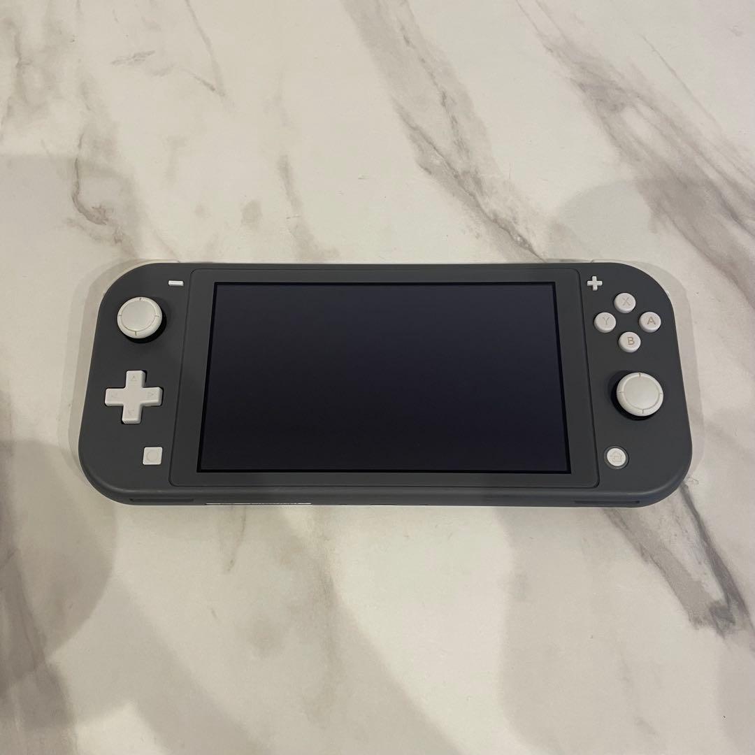 Nintendo Switch Lite グレー 動作確認済み ケース付き