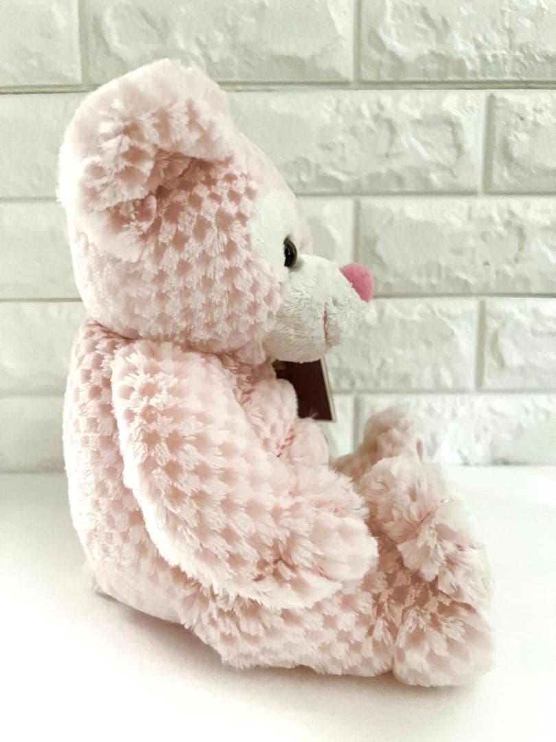 WDWディズニーベア プリンセスダッフィー ワッフルダッフィー ピンク