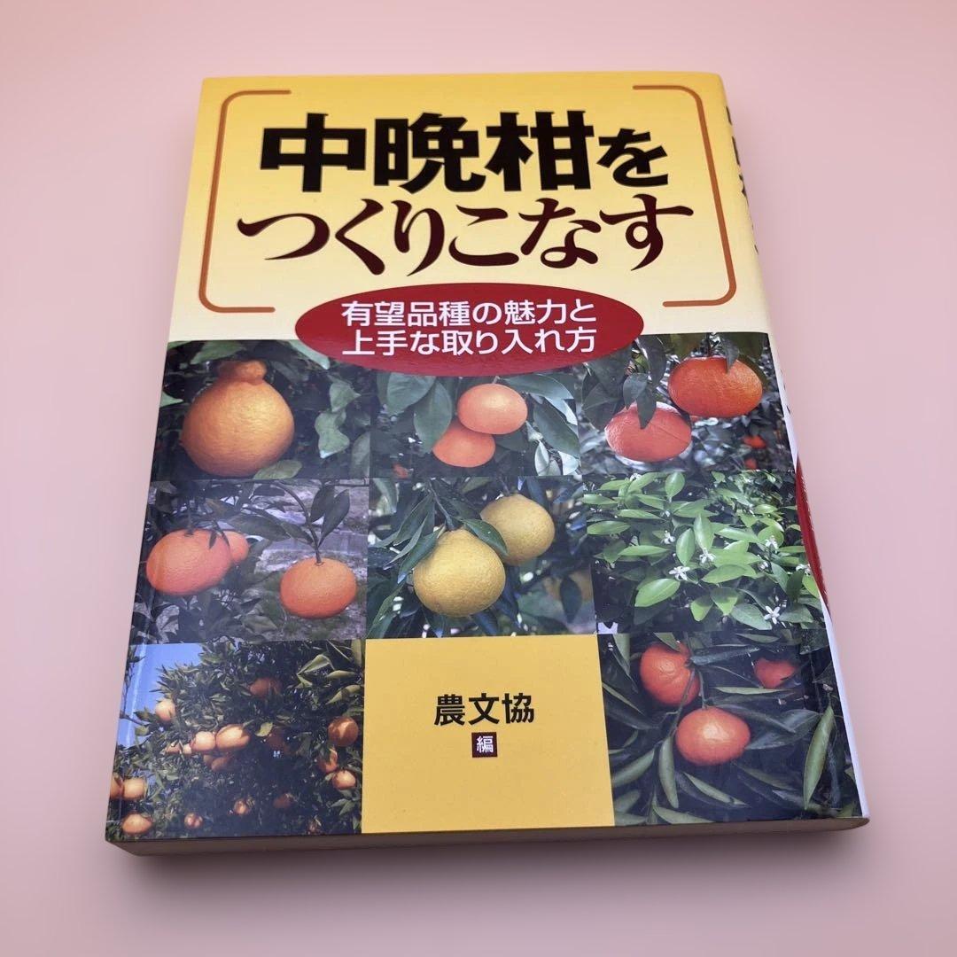 中晩柑をつくりこなす