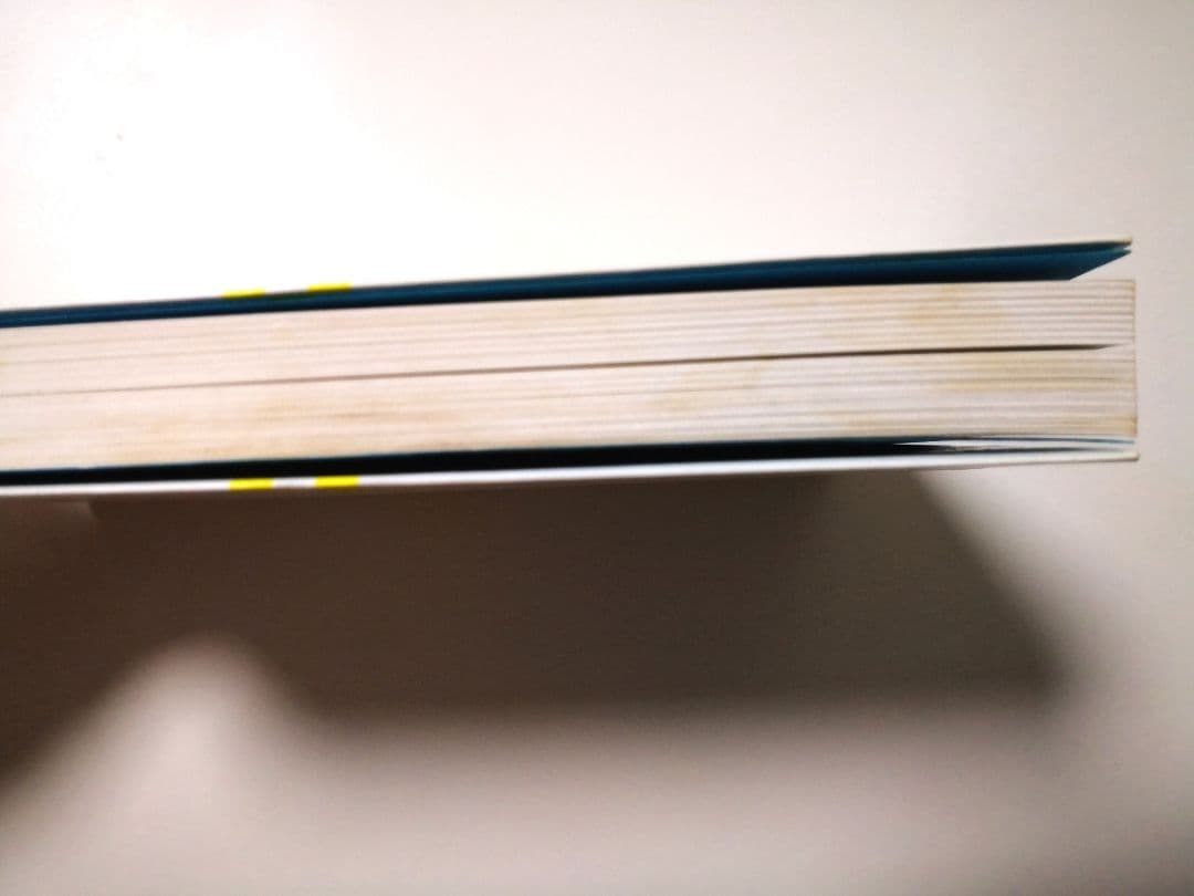 ネットベンチャーで生きていく君へ