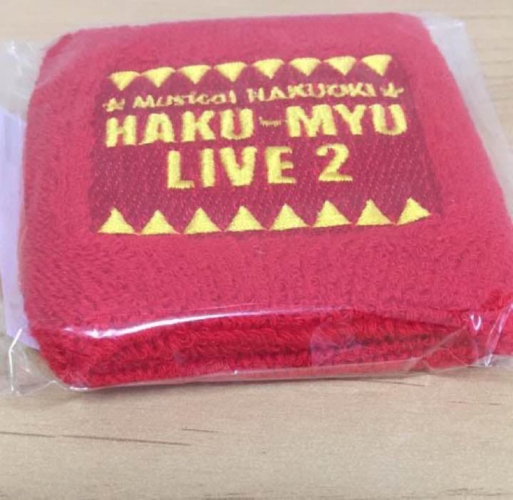 鈴木勝吾 パンフレット 写真集