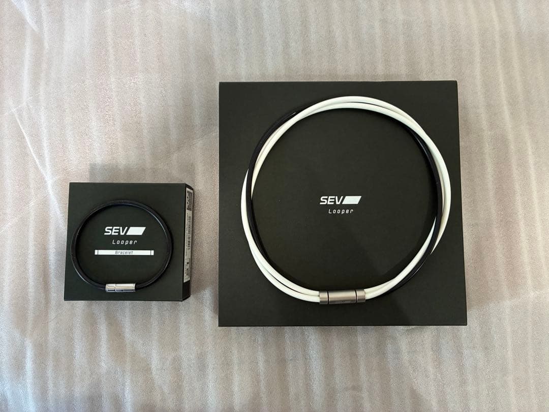 SEVルーパー哀川翔モデル