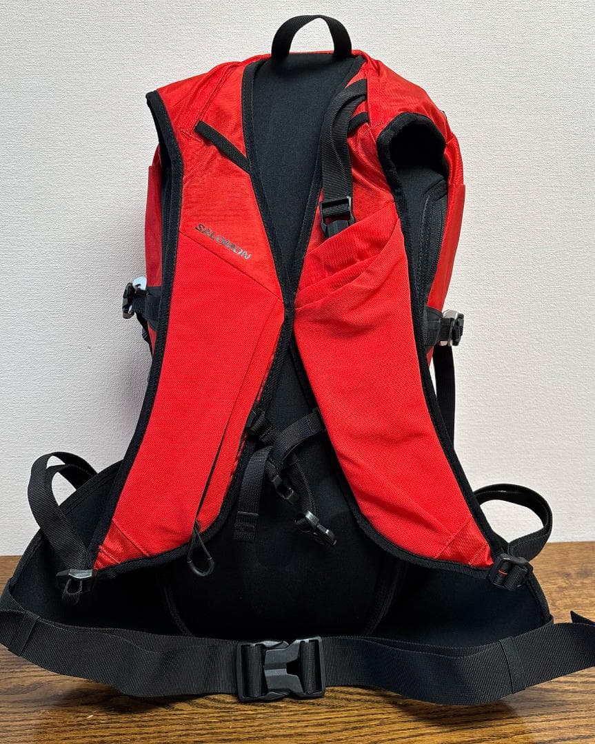 SALOMON MTN 15 / BC スキー・スノーボード バッグ