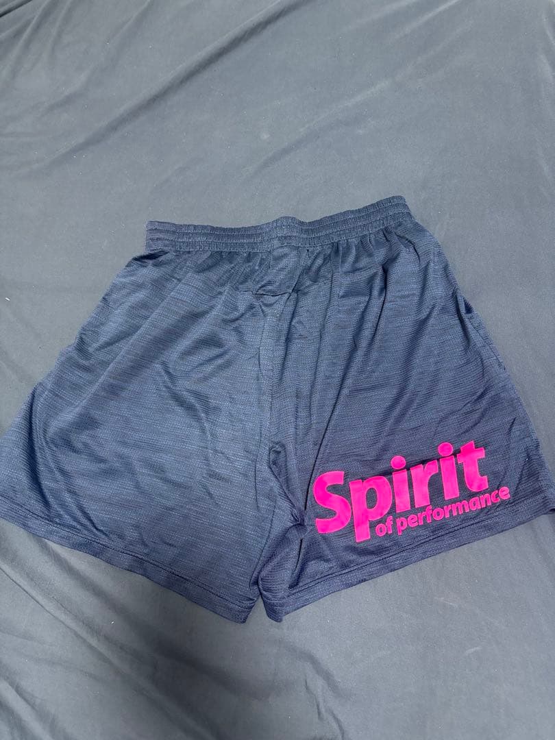 激レア2019インターハイ バレーボール用ショーツ DOR-B9865 Lサイズ