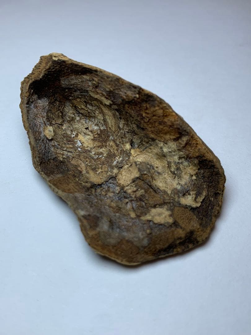 香木 ベトナム産  極品沈界7.695g 最高級沈香 聞香お香 沈香 伽羅 香道