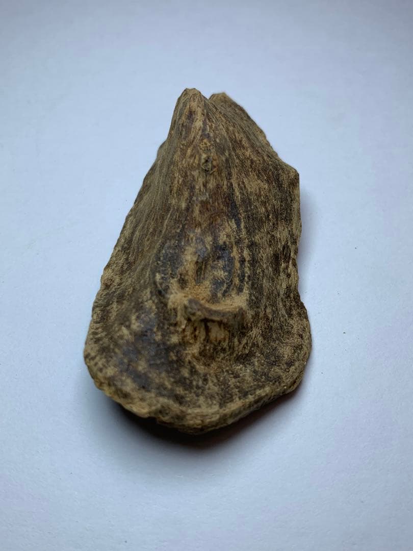 香木 ベトナム産  極品沈界7.695g 最高級沈香 聞香お香 沈香 伽羅 香道