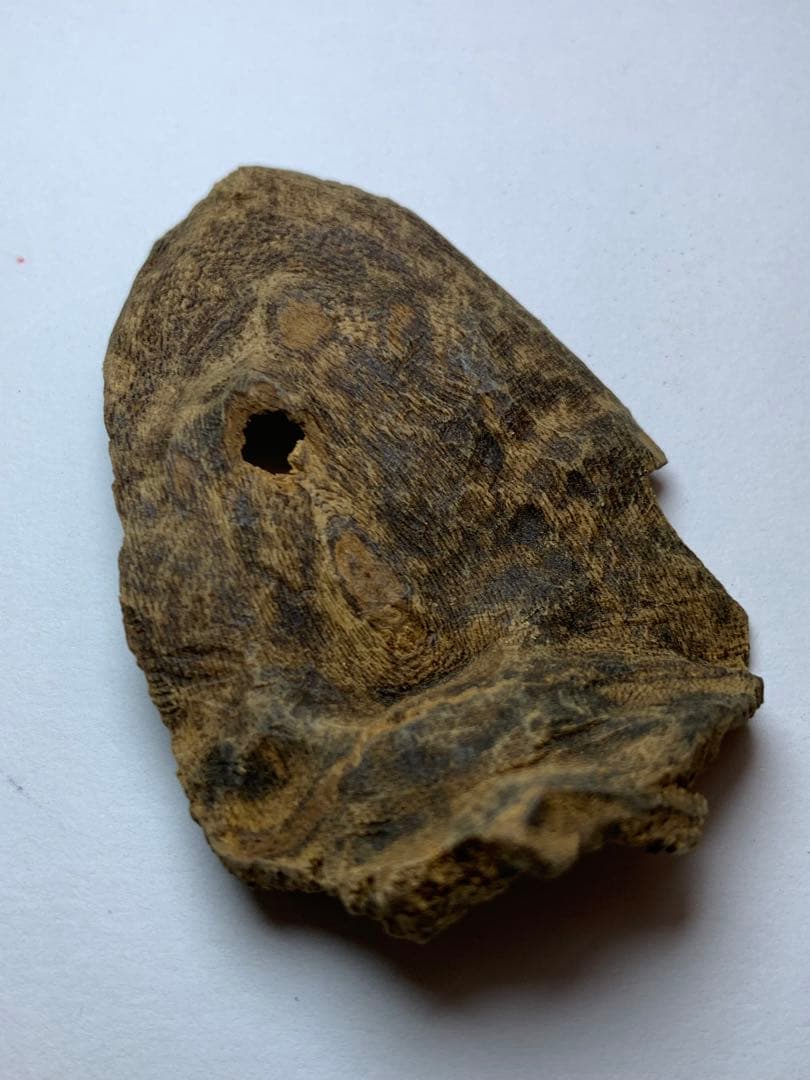 香木 ベトナム産  極品沈界7.695g 最高級沈香 聞香お香 沈香 伽羅 香道