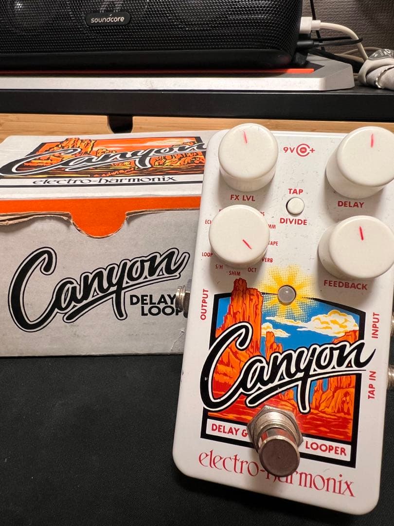 ギター electro-harmonix Canyon Delay&Looper