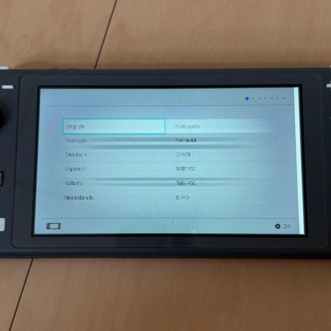 Nintendo Switch Lite グレー 本体 ジャンク品 充電器付き