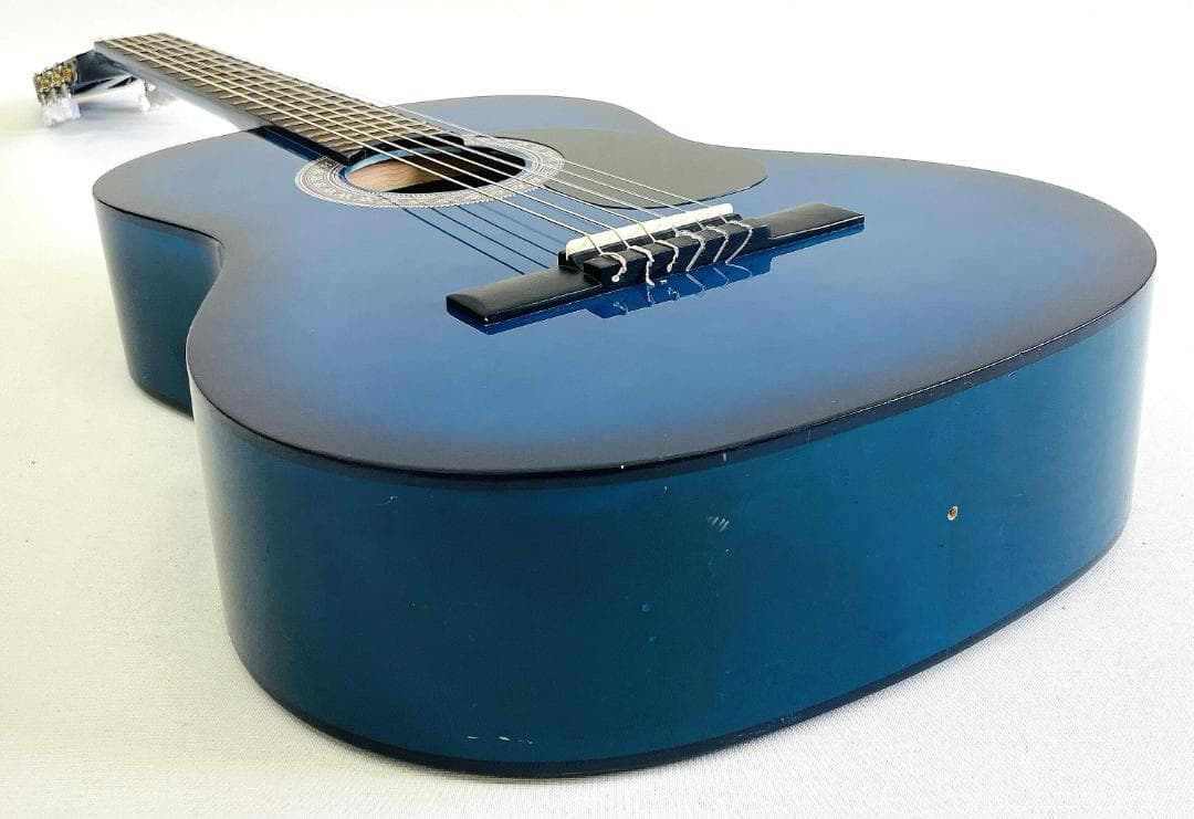 レア Freedom MAG945/BLS アコースティックギター【整備品】