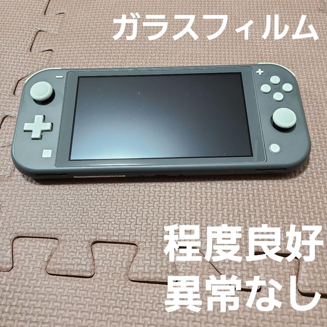 Nintendo Switch Lite グレー 1799