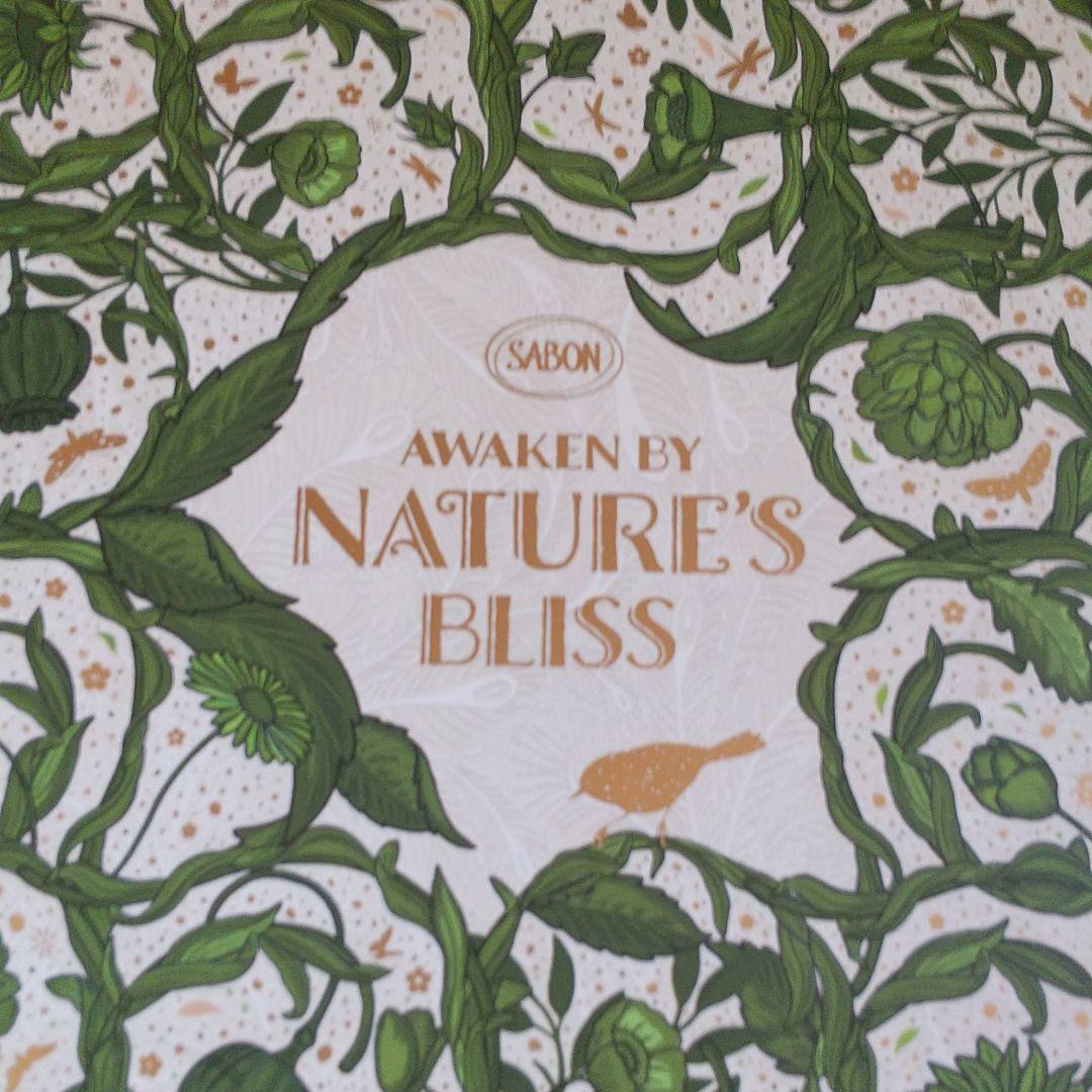 SABON ブリスフル・グリーン リミテッドコレクション 町田啓太