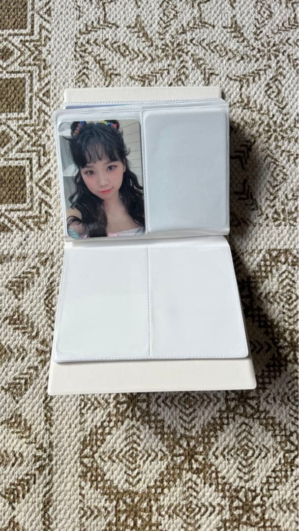 チェウォン トレカケース トレカ51枚セット 交通カード