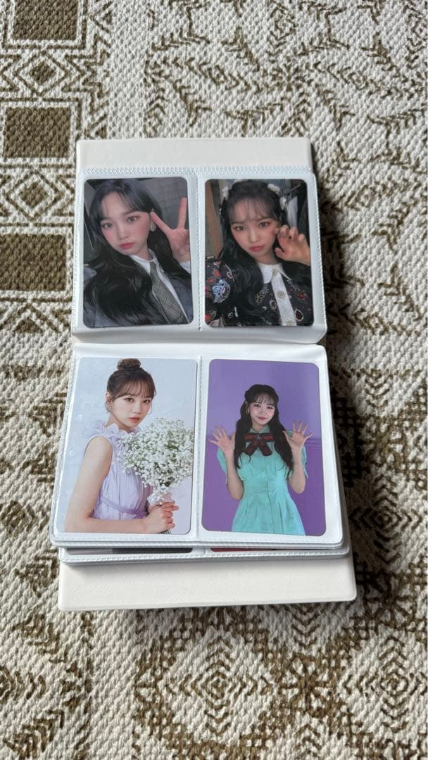 チェウォン トレカケース トレカ51枚セット 交通カード