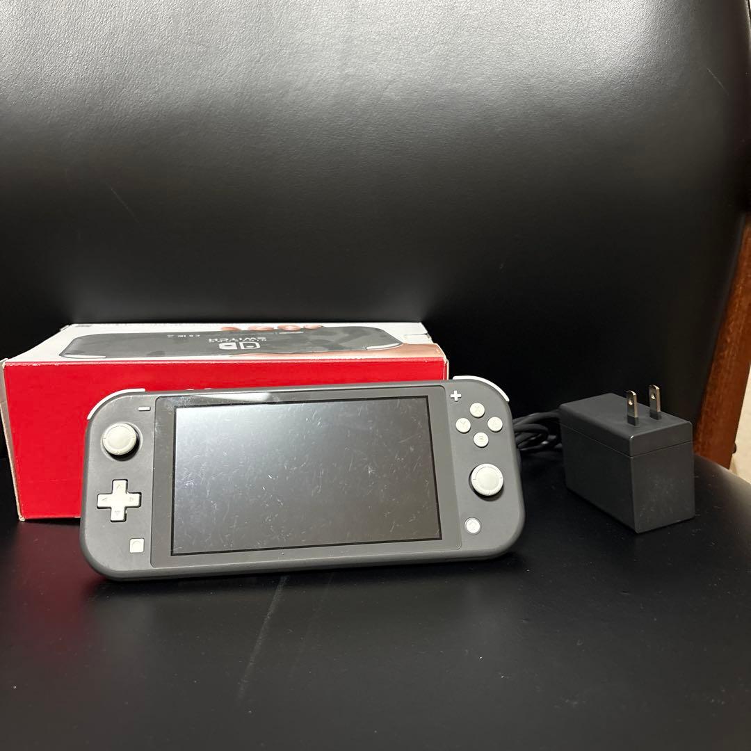 Nintendo Switch Lite グレー 本体 充電器、ケースつき