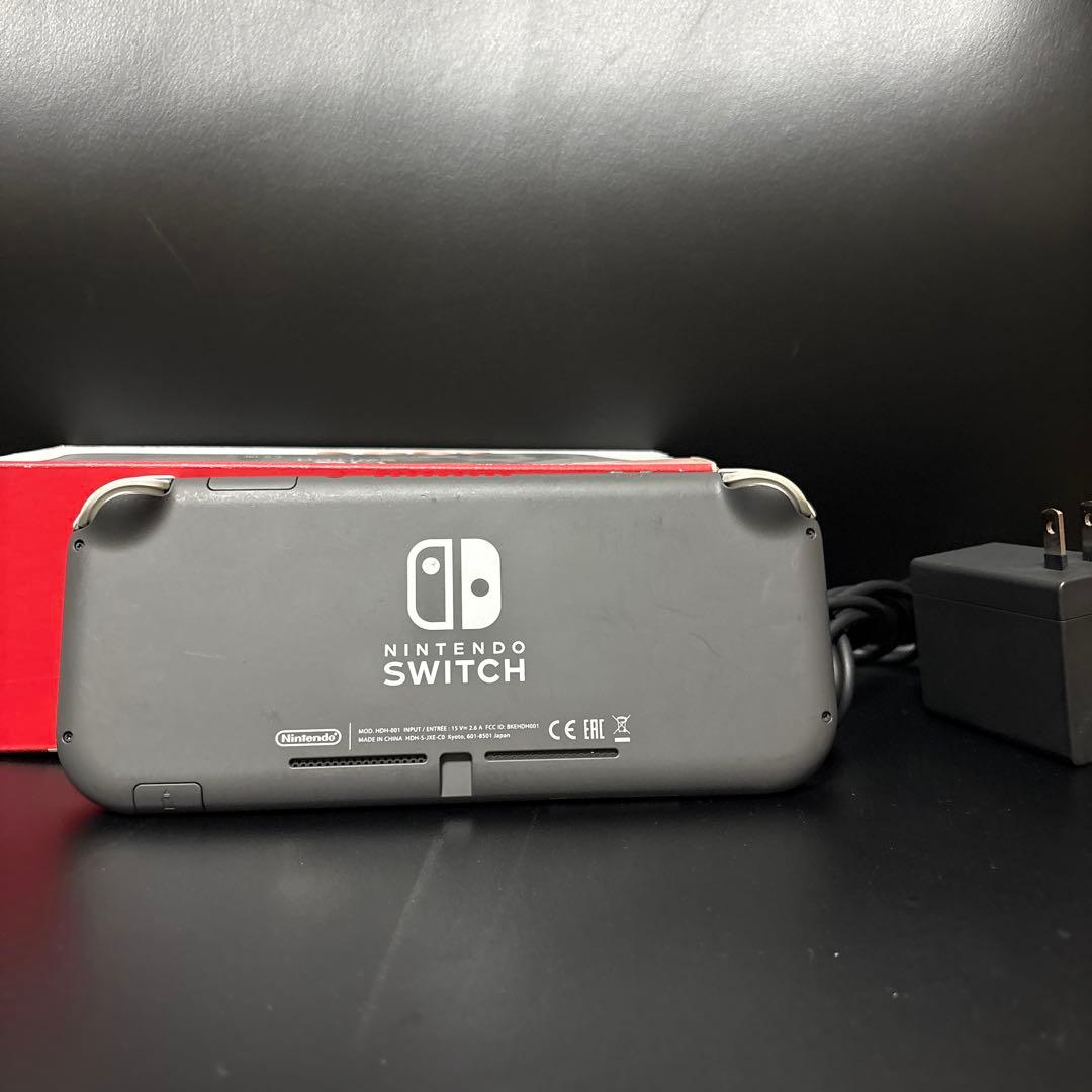 Nintendo Switch Lite グレー 本体 充電器、ケースつき