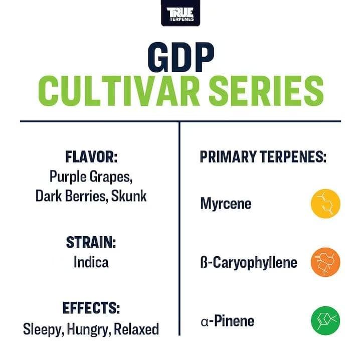 TRUE テルペン CBD CBN CBG 10ml グランダディパープル