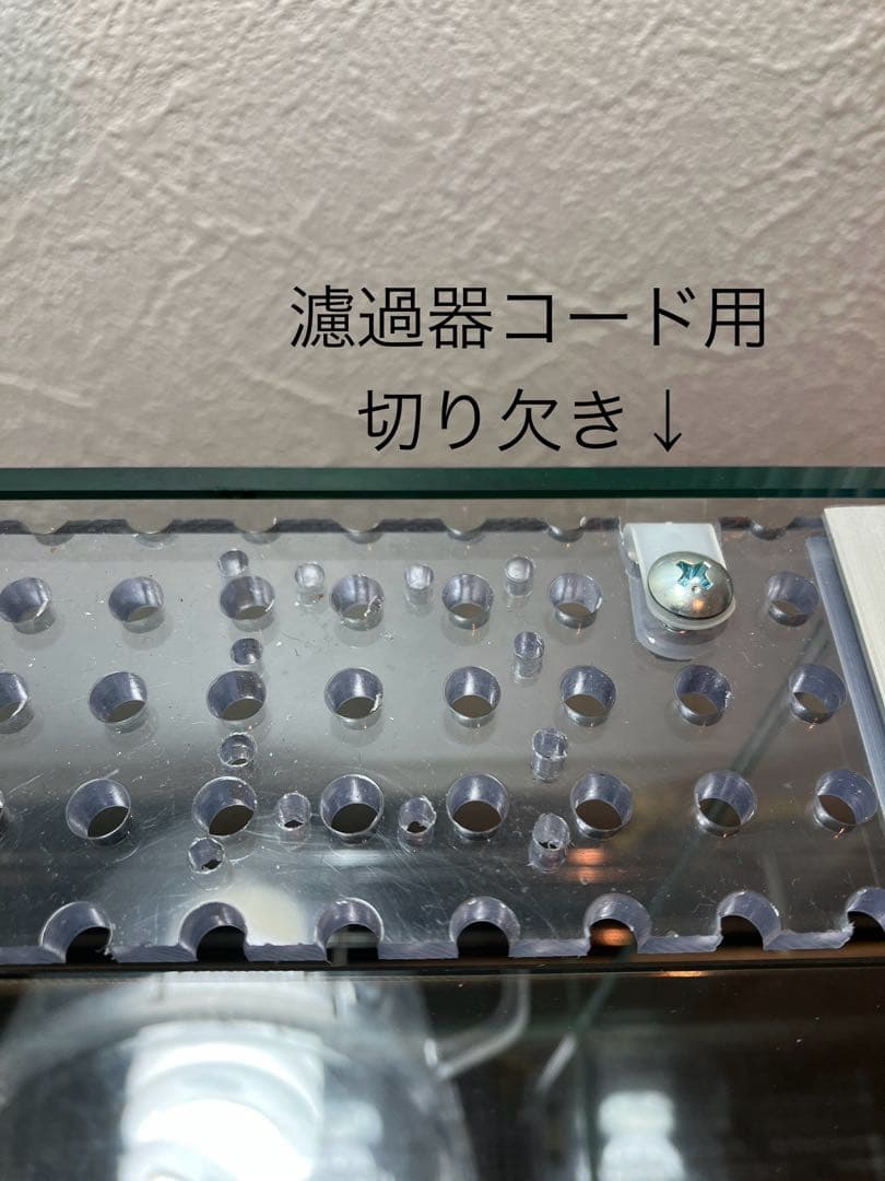 アクアサイダーの40cm水槽 イモリウム、パルダリウム、アクアテラリウム用