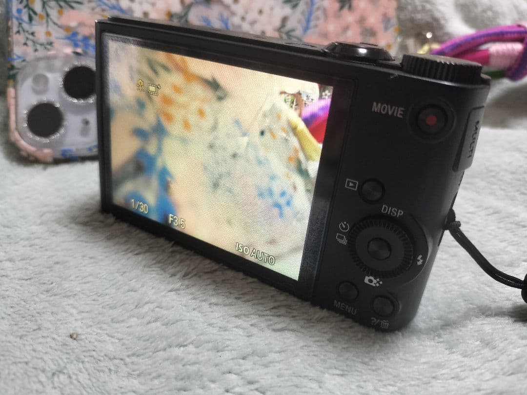 SONY DSC-WX350 20倍光学ズーム コンパクトデジカメ　動作確認済