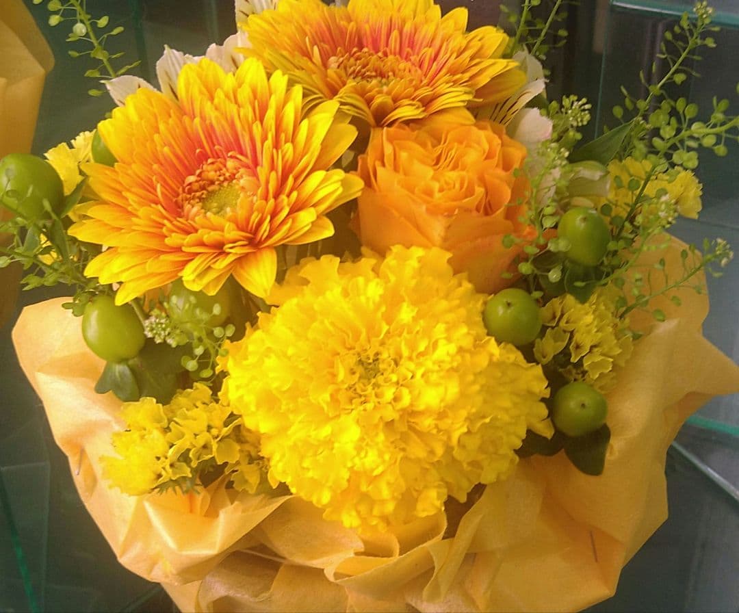 ✦✦✦チェリー✦✦✦