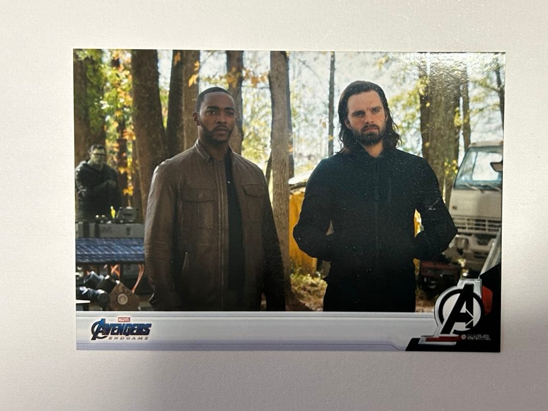 激レア　ウィンターソルジャー　バッキー　セバスチャンスタン　プロマイド　サム