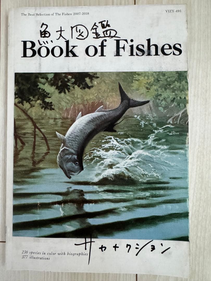 サカナクション CD 完全生産限定盤プレミアムBOX 魚大図鑑