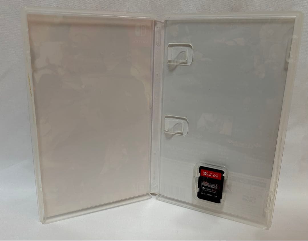 終遠のヴィルシュ　Switch 2本セット