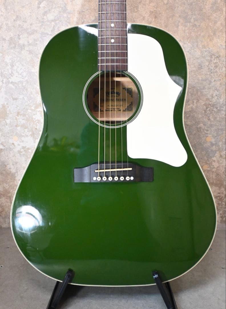 生産終了モデル Headway HJ-BUDDY GR エレアコ ヘッドウェイ