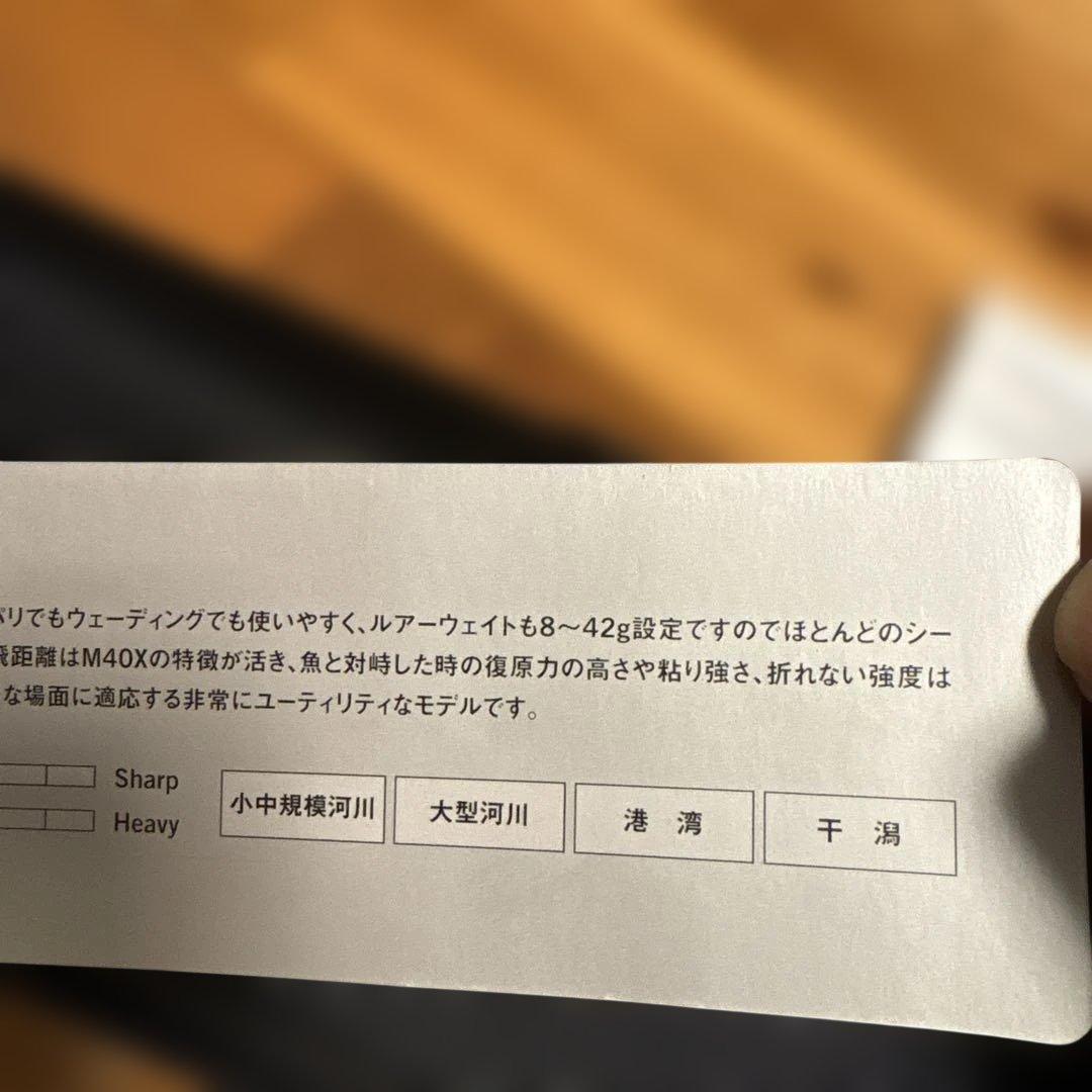 極美品　APIA Foojin’Z GENEROUS 94M シーバスロッド