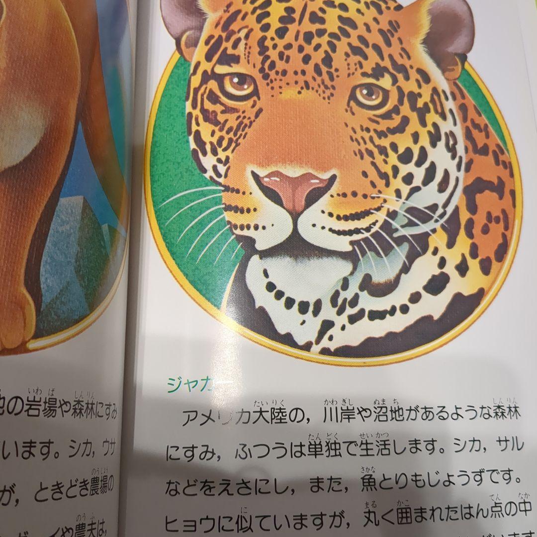 絵本49冊CD12枚☆みんなのおんがくかい★いずみ書房★幼児教育★胎教★出産祝い