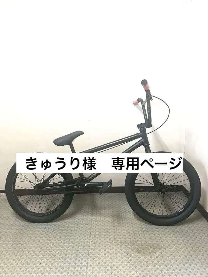FLY BIKES Neutron 【BMX】