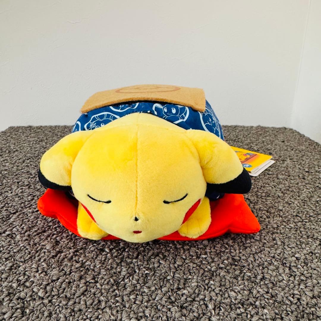 【タグ付・美品】マンスリーピカチュウ 2016年2月