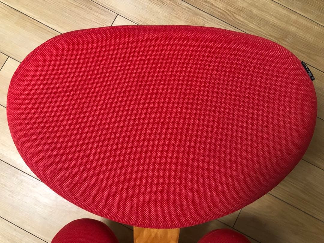 Balans Easy バランスイージー バランスチェア　カバー付き