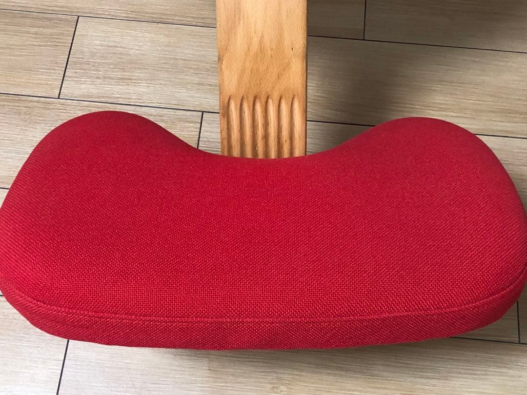 Balans Easy バランスイージー バランスチェア　カバー付き