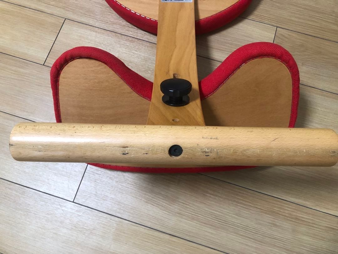 Balans Easy バランスイージー バランスチェア　カバー付き