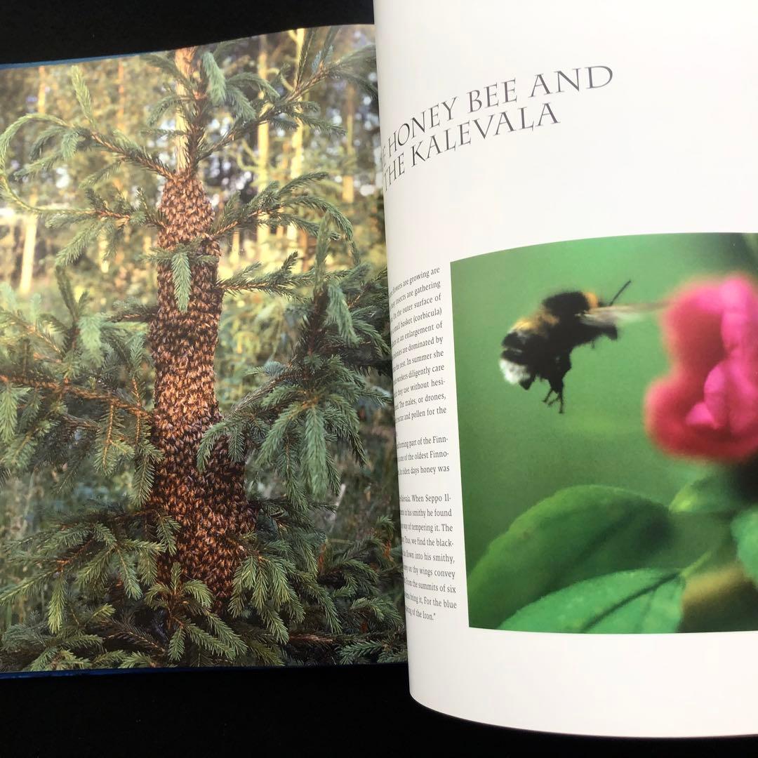 自然写真家 ハンヌハウタラ 写真集 Nature in the Kalevala