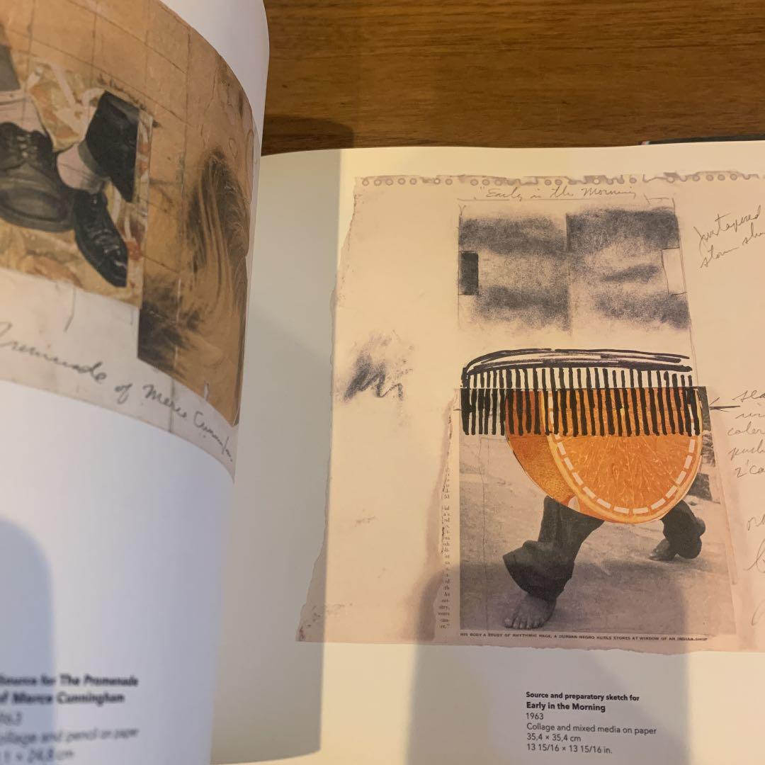 James.rosenquist  1970-2010 洋書 アート